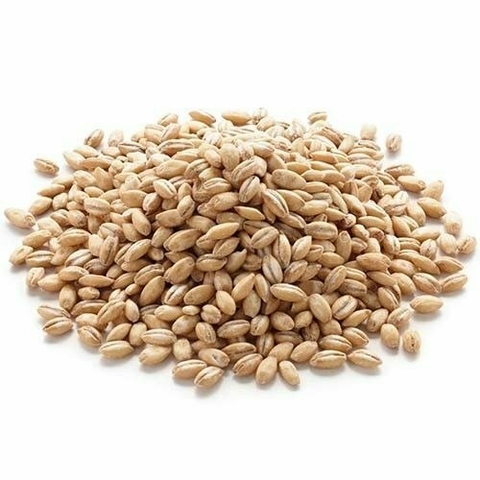 Cebada perlada (100 gr.) - comprar online