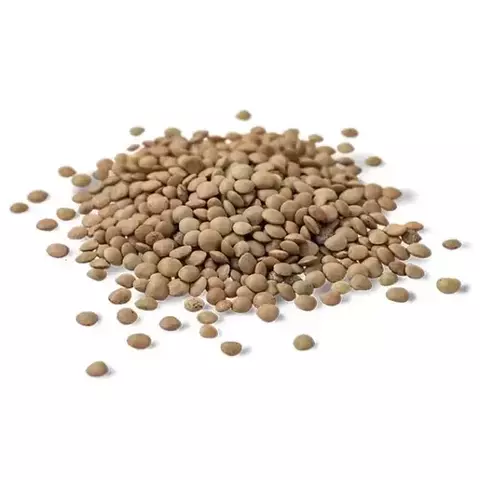 Lentejas (500 gr.) - comprar online