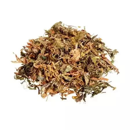 Alfalfa (100 gr.) - comprar online