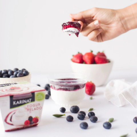 Yogur helado frutos rojos Karinat - comprar online