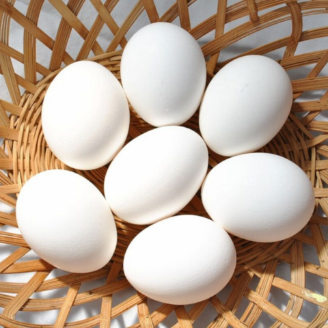 Huevos blancos (30 un.) - comprar online