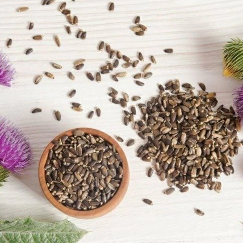 Cardo mariano (50 gr.) - comprar online