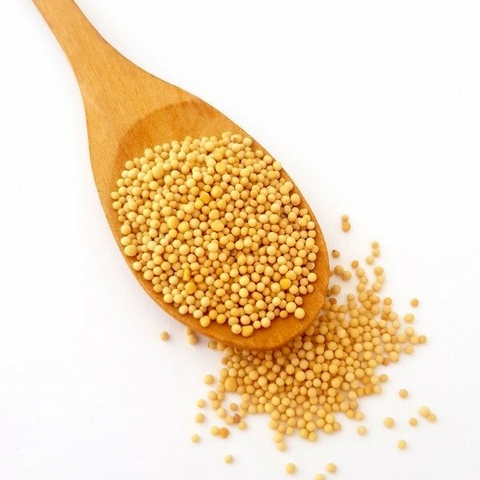 Mostaza grano (100 gr.) - comprar online