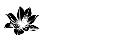 Magnolia Tienda Saludable