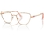 Swarovski SK1007 - comprar online