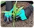 GarraVerde – Luvas de Jardinagem com Proteção Total e Garras Escavadoras - loja online