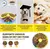 Quebra-cabeça para cães, alimentador lento, enriquecimento interativo, brinque - Detalhe Certo