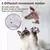 2025 novo brinquedo interativo do gato chilrear pássaro, brinquedos da catnip, - comprar online