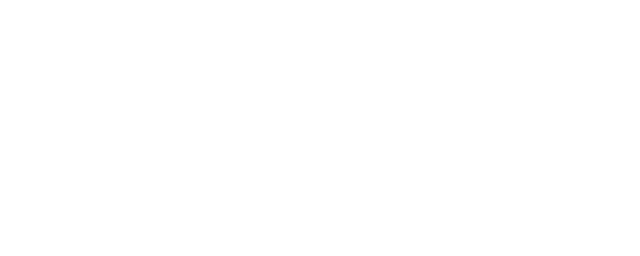 ZN Original