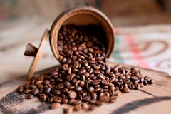 Banner de la categoría Café en Grano
