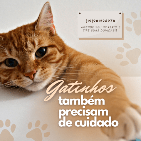 Carrossel 1