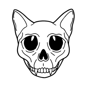 Marca 6 de Ponte Macizo