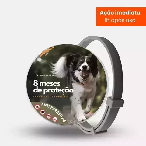Colar Anti Pulgas e Carrapatos - comprar online