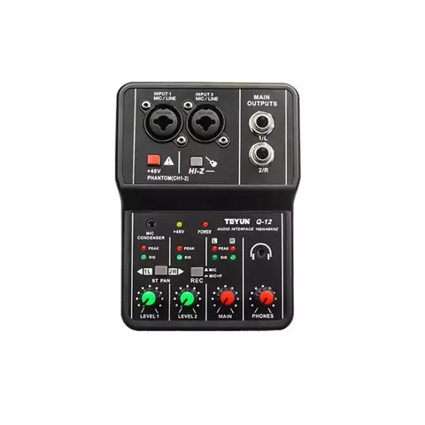 Interface de Áudio Placa de Som com 2 Canais - Teyun Q-12 - comprar online