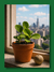 PEPEROMIA - comprar online