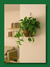 POTHUS - comprar online