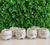 CACHEPOT/VASO BICHOS - KIT COM 6 UNIDADES - VALOR UNITÁRIO R$15,90 na internet