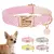 Coleira de cachorro personalizada com brilho - comprar online