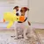 Imagem do Sonho de Pato: Pelúcia Resistência para Cães