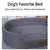 Cama dos Sonhos - comprar online