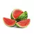 SANDIA BABY (x Unidad)