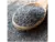 SEMILLAS DE AMAPOLA - DEAN FUNES x 100g