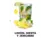 LIMONADA - LIMON , JENGIBRE Y MENTA x 5 UNIDADES
