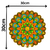Adesivo De Parede Mandala Colorida Laranja Decorativo - comprar online