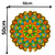 Adesivo De Parede Mandala Colorida Laranja Decorativo na internet