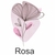 Papel de Parede Autocolante Barato Boho Floral Delicado Decoração para Sala ou Quarto Fácil aplicação - Nova