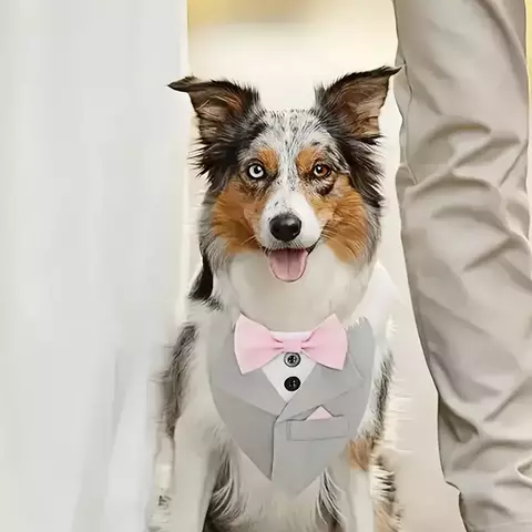 Smocking - comprar en línea