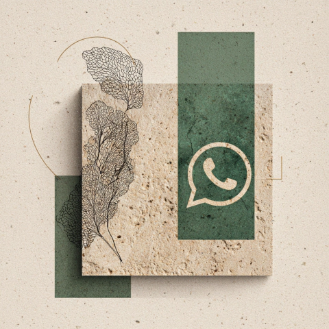 Banner de Lawen Labs