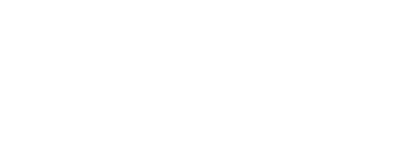 Camaron Brujo mayorista