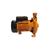 Electro Bomba Centrifuga 2 Hp 1850 W Lusqtoff Cpm-190 Mm en internet