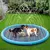 Piscina Splash PetZura™