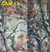 CAM13