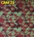 CAM21
