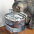 Fonte de Água Automática para Gatos e Cães – Hidratação com Estilo e Saúde!