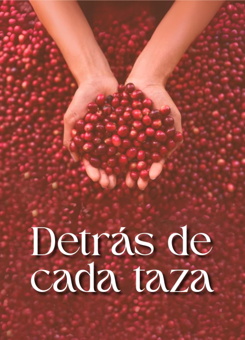 Carrusel 1