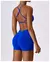 Seamless Yoga Gym Fatos com Shorts para Mulheres, Top Curto, Sexy Bra, Calças R - BC SHOP ONLINE