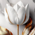 Quadro Decorativo Flor Tulipa Branca e Dourada - Elegância em Tela Acetinada, Impressão de Alta Qualidade, Pronto para P na internet