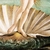 O nascimento de Vênus por Sandro Botticelli. - loja online