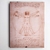 Quadro Leonardo Da Vinci. O homem vitruviano. tela acetinada - comprar online