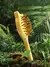 Escova de bambu cabelo – pente antiestático de madeira natural e massagead - loja online