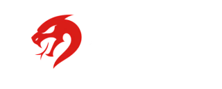 Zytek