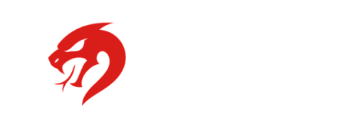 Zytek