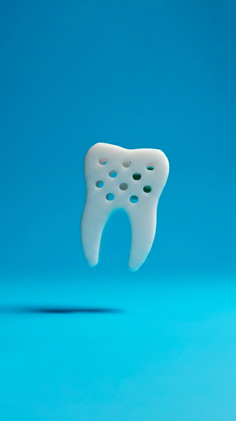 Protetor de escova de dentes