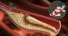 Banner de la categoría ESTEROIDES