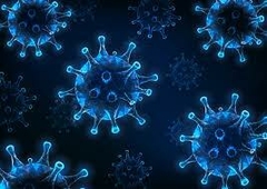 Banner de la categoría ANTICATARRALES