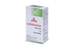 CEFOTAXIMA 1 GR SOLUCION INYECTABLE 1 PIEZA